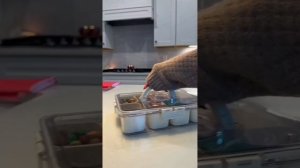 Эй ботанка!