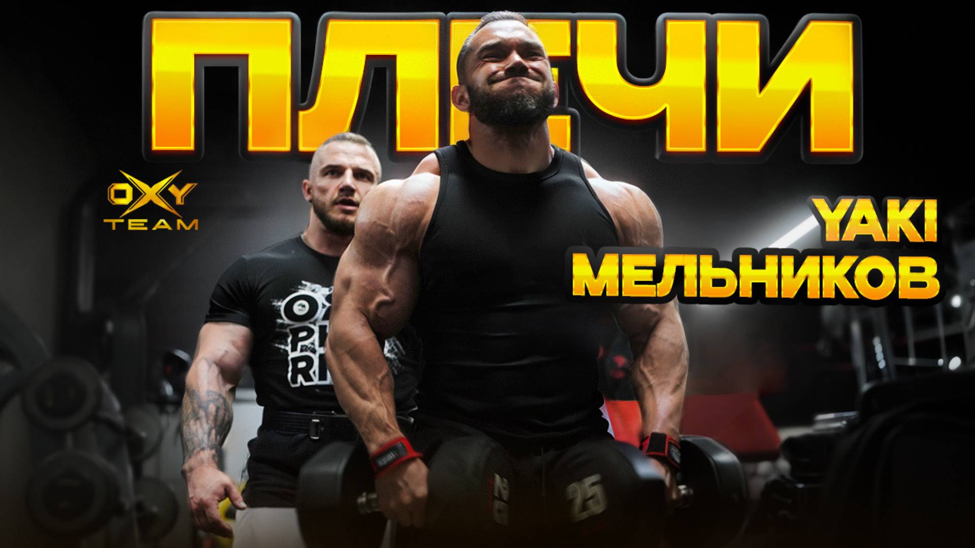 Владимир Яковлев и Андрей Мельников | Плечи
