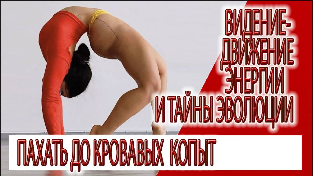 Видение - движение энергии и тайны эволюции, пахать до кровавых копыт