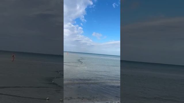 Вид от Чаши Каспийского моря после Баланса 4 Стихий на Казах. Форуме МаЭД в Актау. Мир Универсологии
