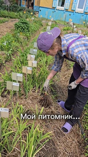 VID_20250624_203505_104
