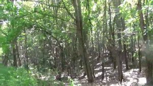 Красивые Белгородские села и видео про Белгородскую область красивые видео переезд в белгород