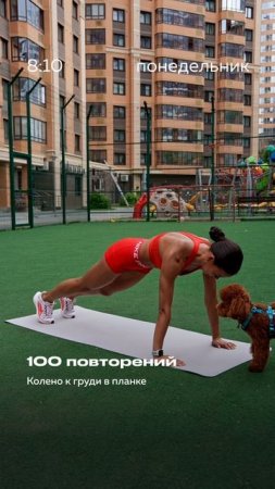 💥Челлендж «ПРЕСС НА 300» – ВПИСЫВАЕШЬСЯ? 1/7