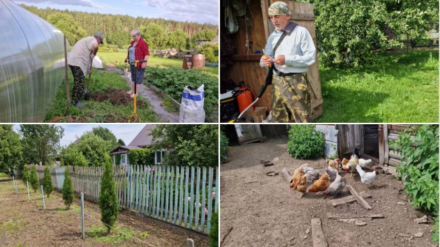 ПОСАДИЛИ ГОЛУБИКУ, ЛЁШИК КОСИЛ, А Я СТРИГЛА ТУИ.