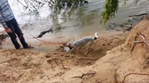 Наша любимая Даночка...