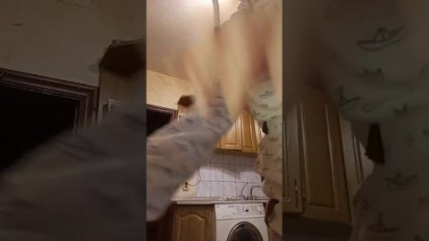 калининград, калининградская обл.