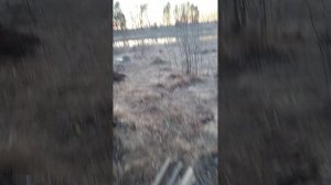 На берегу реки Клязьма нашли настоящую землянку с крышей, дверью и вентиляцией