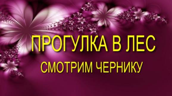 ПРОГУЛКА В ЛЕС