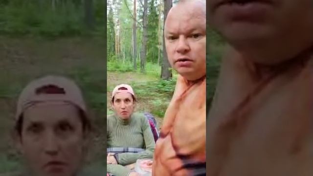 Дневной эфир от 24.06.25 мы пришли в лес, поглядеть грибы и пикник для Катюши