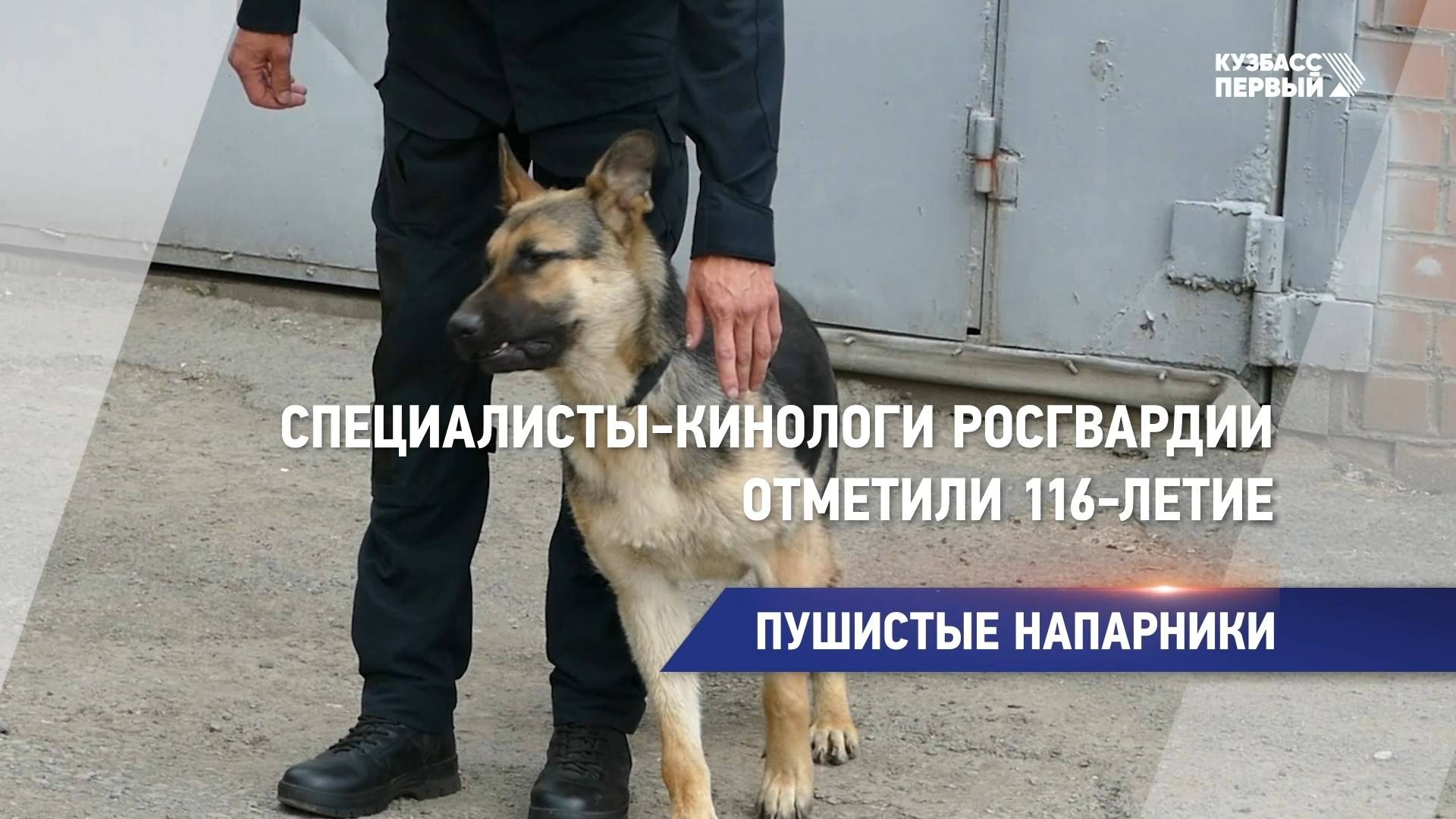 Специалисты-кинологи войск национальной гвардии России отметили 116-летие
