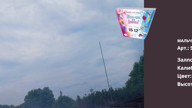 "Мальчик или девочка" Голубой ВЕЕР_S922 смотреть онлайн