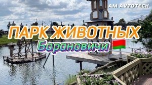 Парк животных в Барановичах (Беларусь). Контактный зоопарк, который удивит!