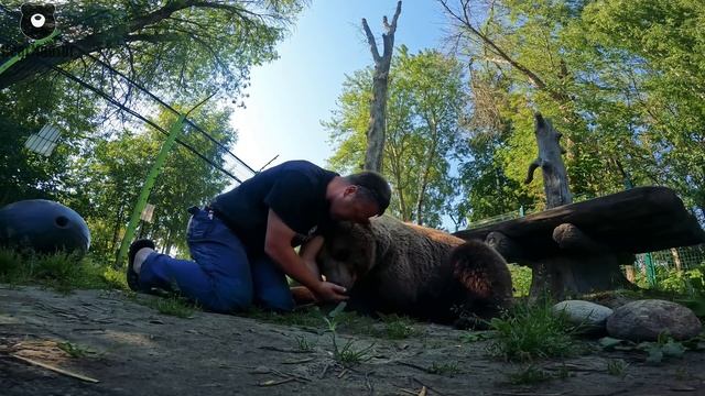 Помидорный завтрак и обнимашки