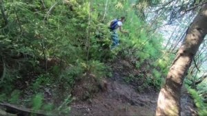 СОННАЯ ПОЛЯНА