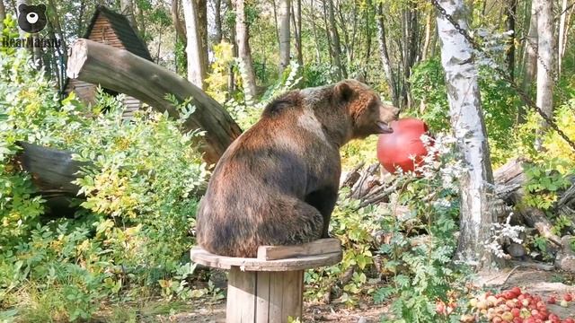 Ленивые игры с утра