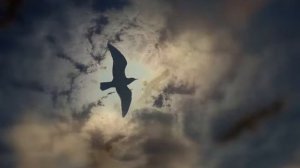 Тагор Рабиндранат - Тяжесть вязкой смолы