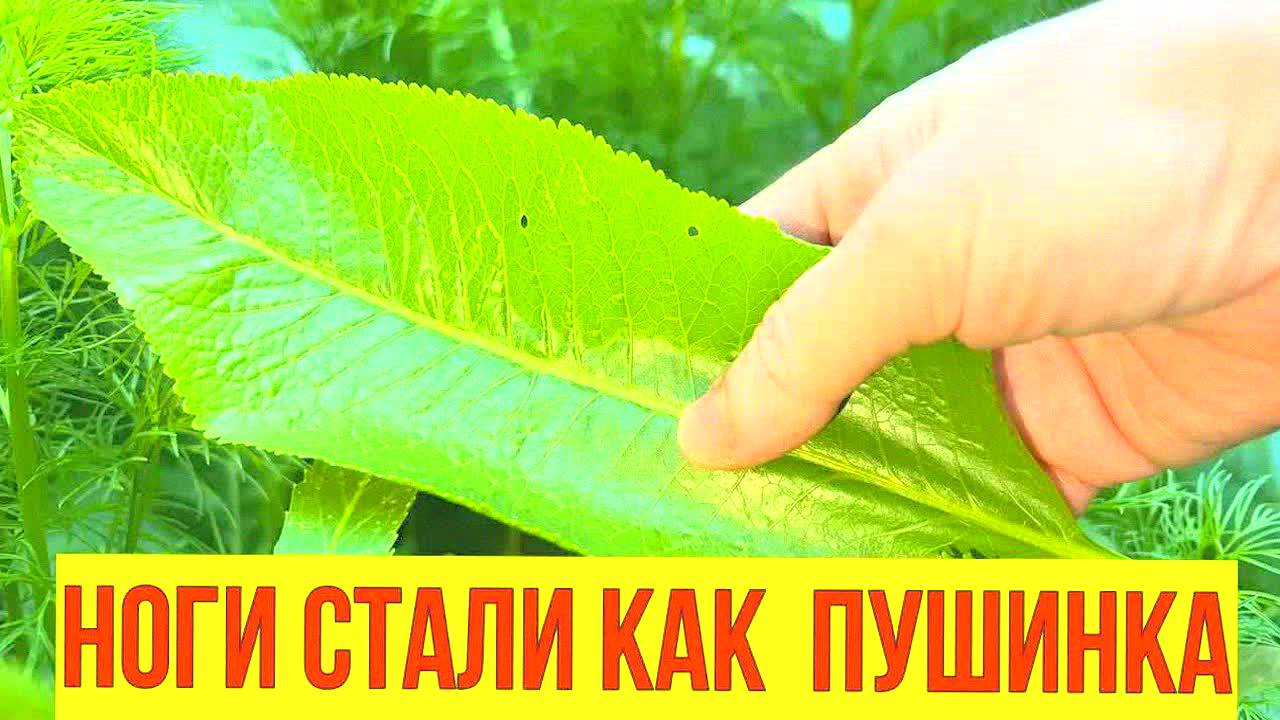 Грибок и боль в суставах исчезли! Лёгкость в ногах, здоровая спина и колени как в 20 лет – проверено
