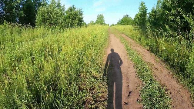 День 504. Сбавил нагрузку. Дистанция 11 километров.