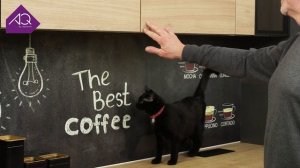 Толкатели AQ ONE-PUSH – долговечные решения для эволюции жилых пространств!