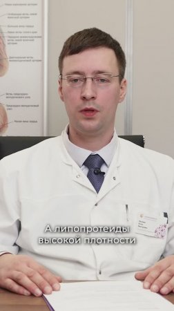 «Хороший» и «плохой» холестерин: что это значит? Антон Вахляев, врач-кардиолог