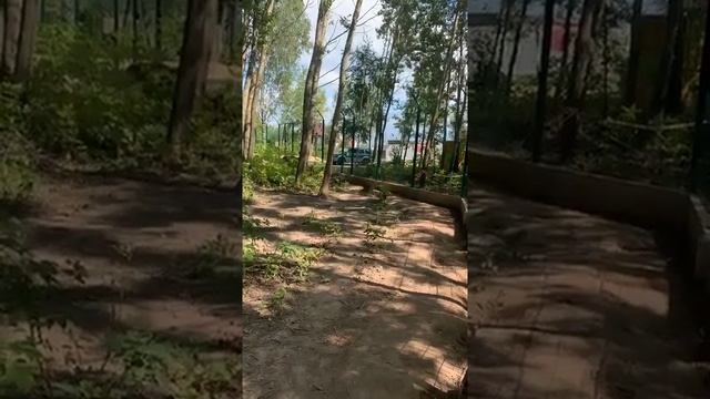В прекрасном медвежьем настроении✨Прямая трансляция инстаграм @mansurbear 03.08.19