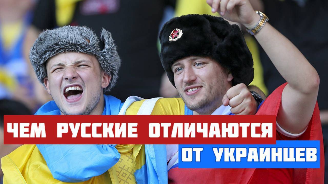 Чем украинцы отличаются от русских. Вооруженная оппозиция режиму Зеленского в боях украинской войны