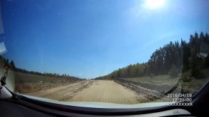 Косули на дороге