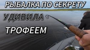 ТРОФЕЙНАЯ РЫБА НА СПИННИНГ – КАК МЫ ЕЁ ПОЙМАЛИ!