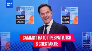 Саммит НАТО: триумф Трампа, унижения Зеленского, бесперспективные запугивания