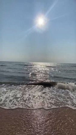 VID_20250607_094507_065.mp4_1_1.mp4
