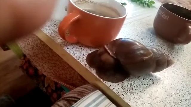 Уля примчалась в гости смотреть онлайн