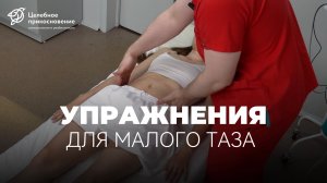Упражнения на контроль мышц тазового дна | Целебное Прикосновение