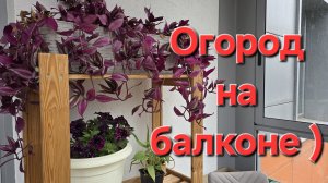 25-06-2025 Купила, не устояла // Разбираюсь с озоном.