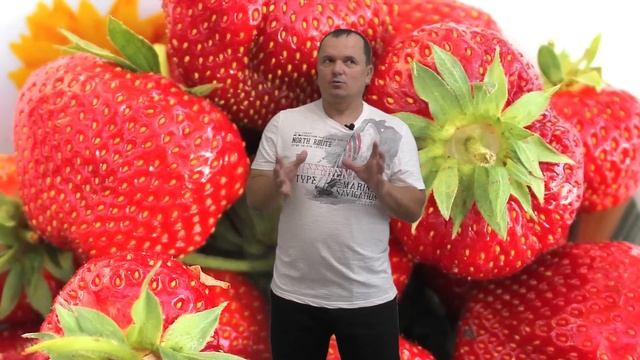 Что делать с клубникой после плодоношения! 5 полезных советов.
