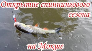 Рыбалка на Мокше на спиннинг. Открытие спиннингового сезона