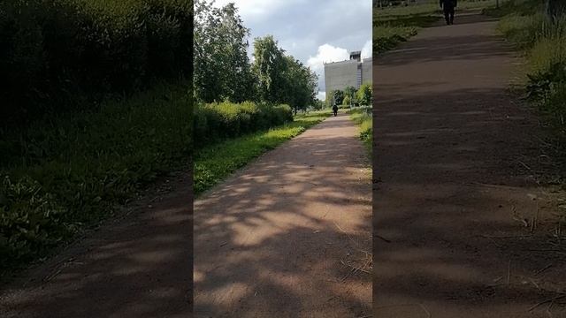 VID_20250625_170544