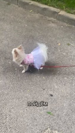 Принцесса на прогулке 😍