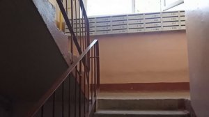 Купил Бухич Клиенту в Доставке Сделал Возврат в Пятерочке Работа Курьером Сколько Заработал?