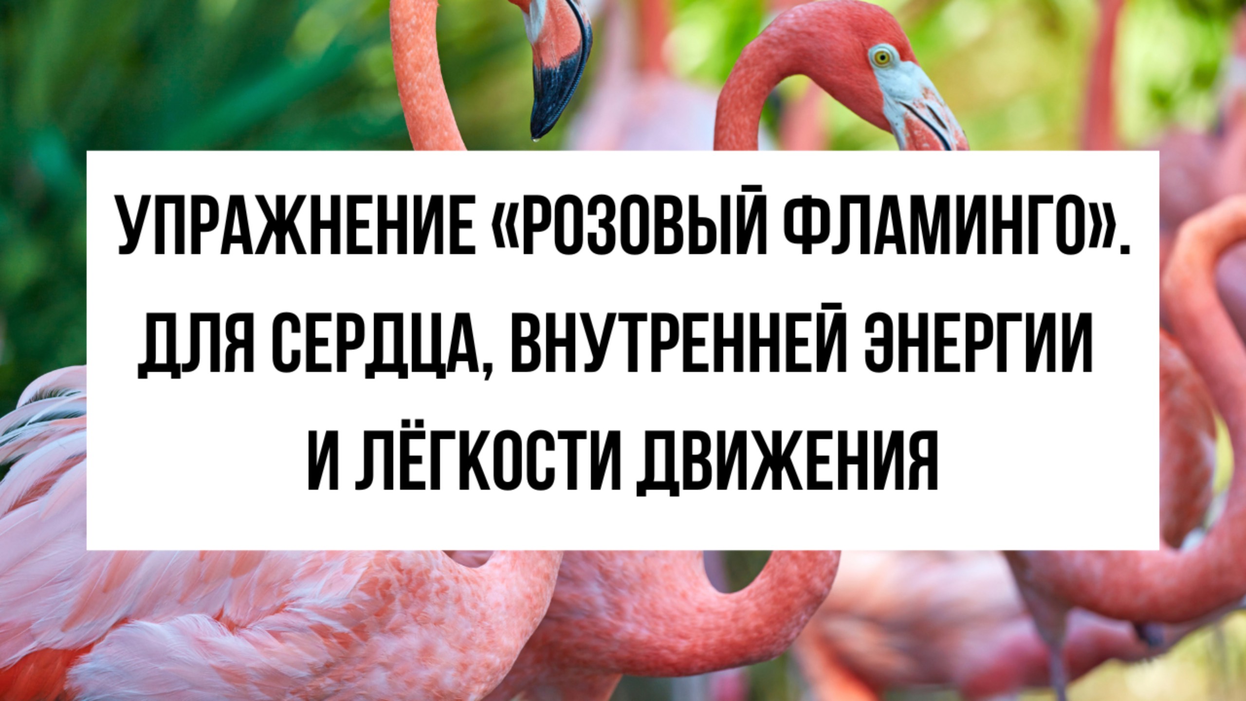 Упражнение «Розовый фламинго» — улучшить кровообращение и наполнить тело энергией за 5 минут