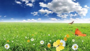 Нет пути назад