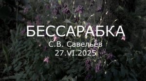 С.В. Савельев - Бессарабка
