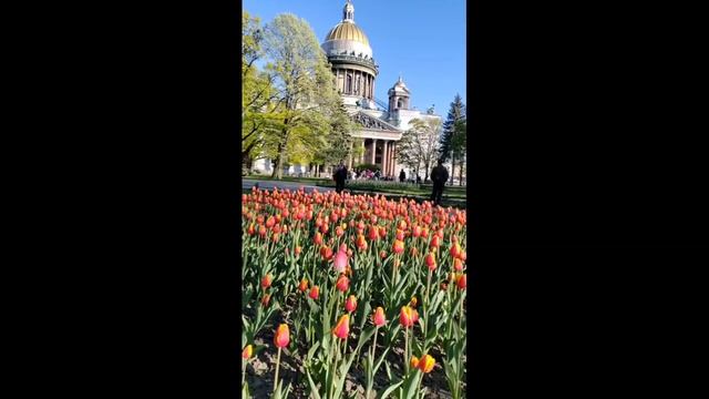 Новая Голландия и Исаакиевский собор - поездка и метро и трамваях Спб