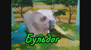 Бульдог из бумаги своими руками.