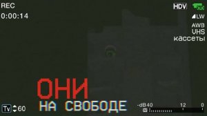 МОНСТРЫ ЧИКЕН ГАНА НАПАДАЮТ НА ЛЮДЕЙ - Чикен ган VHS кассеты