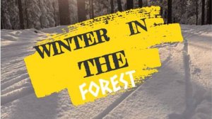 ЗИМА В ЛЕСУ