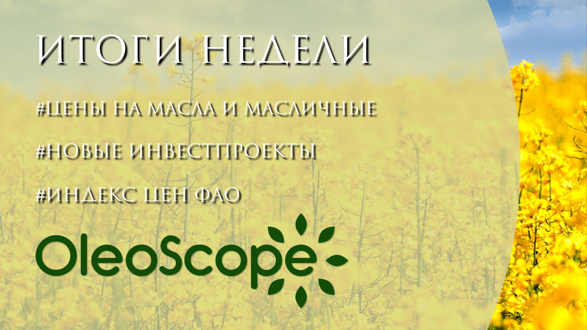 Анализ цен на масла и масличные, индекс цен ФАО и новые инвестпроекты