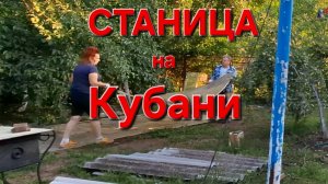 563 🏠 Из города в станицу. Не смогла сдержаться.У нас такое прибавление!