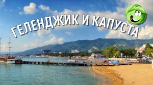 ГЕЛЕНДЖИК И КАПУСТА