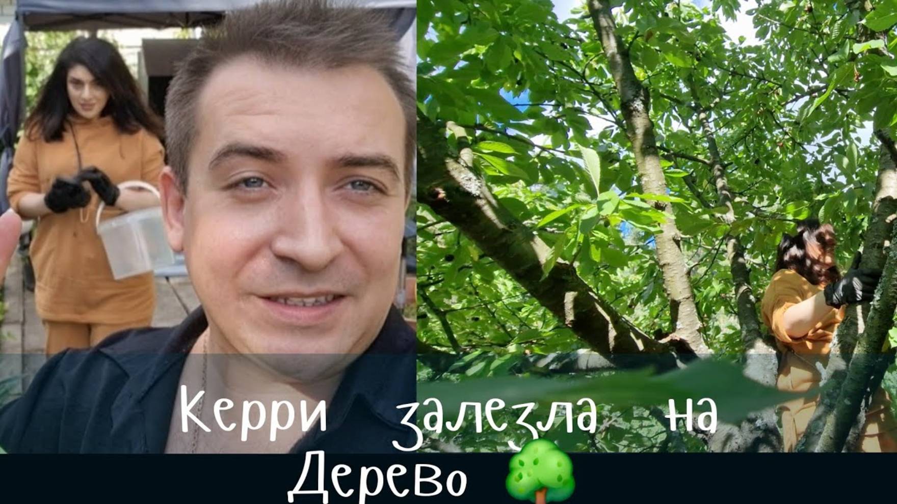 Керри  залезла  на Дерево! Киев-Бровары дача! Фруктовый  Пирог!
