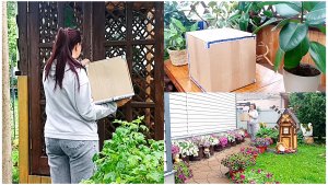 Посылка с новыми цветами. Распаковка 📦